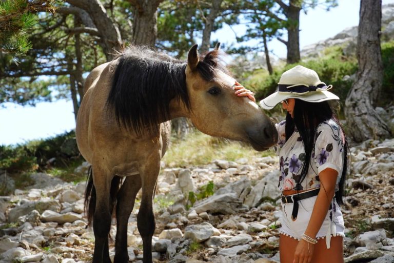 1 horses 28_Original