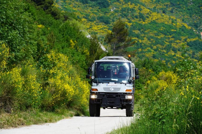 UNIQUE VEHICLE EXPLORATION