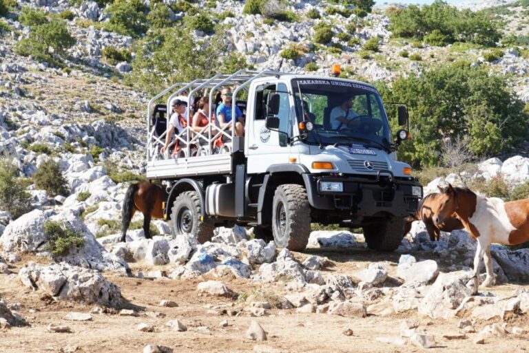 -5961025886994153487_121