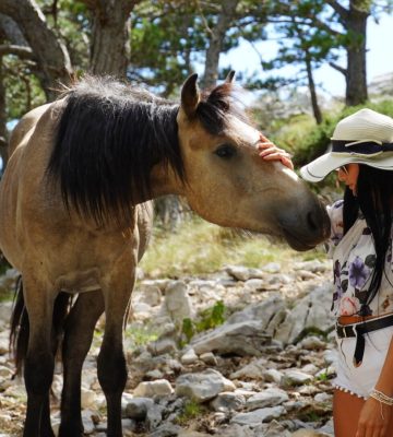 1 horses 28_Original